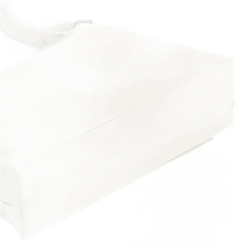 Ivory Canvas Sling Bag